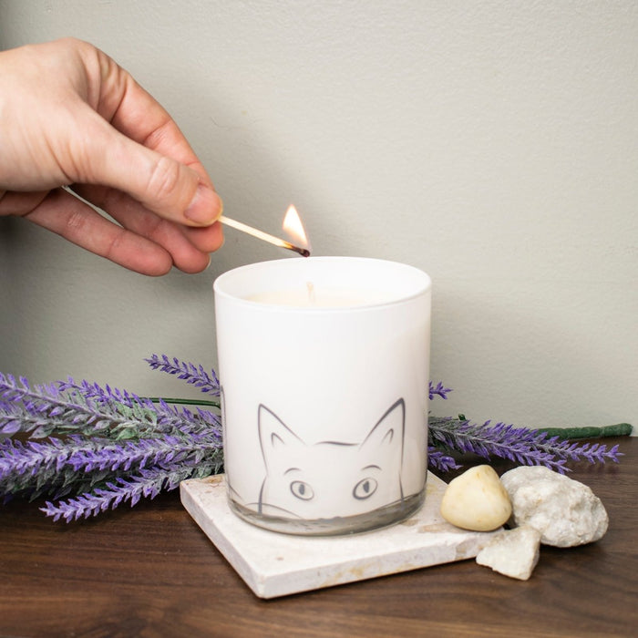 Large Cat Jar Candle - Lazy Days Scent