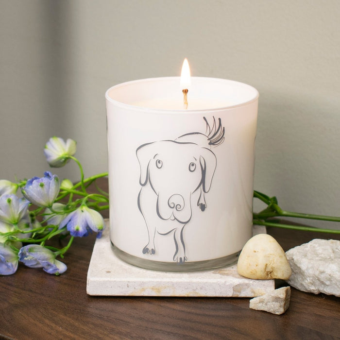 Large Dog Jar Candle - Wet Dog Scent