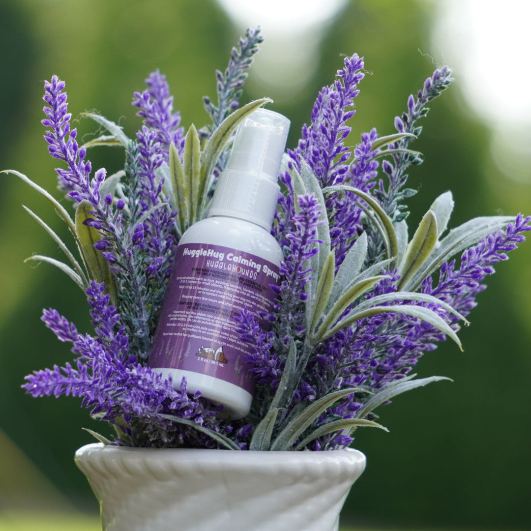 HuggleHug™ Lavender Bone & 2oz Calming Spray Dog Toy Set