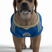 Leicester City FC 25/26 Home Kit Inspired Personalized Tank