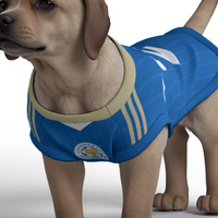 Leicester City FC 25/26 Home Kit Inspired Personalized Tank