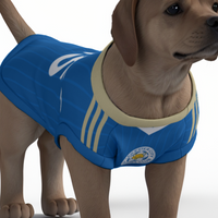 Leicester City FC 25/26 Home Kit Inspired Personalized Tank