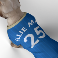 Leicester City FC 25/26 Home Kit Inspired Personalized Tank