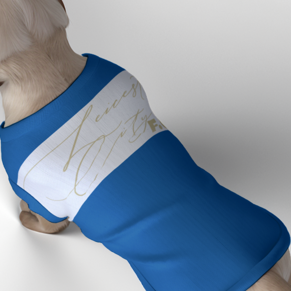 Leicester City FC 25/26 Home Inspired Pet Graphic Tee Shirt (Sizes XS-Small)