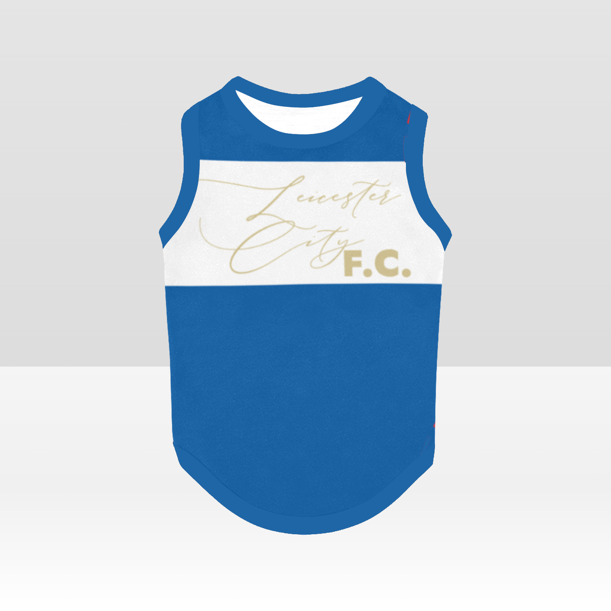 Leicester City FC 25/26 Home Inspired Pet Graphic Tee Shirt (Sizes XS-Small)