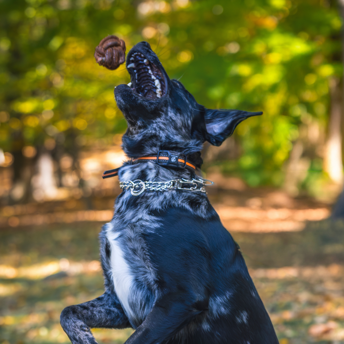 Huggle-Hide® Natural Leather Ball Dog Toy, 2 Pack