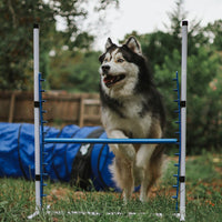Better Sporting Dogs Upgraded Dog Agility Set – 7 Piece Training Kit with Safety Breakaway Tire Jump, Displacement Bar Jumps, Tunnels, Weave Poles & Pause Box