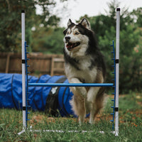 Better Sporting Dogs Upgraded Dog Agility Set – 5 Piece Training Kit with Safety Breakaway Tire Jump, Displacement Bar Jump, Tunnel, Weave Poles & Pause Box