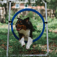 Better Sporting Dogs Upgraded Dog Agility Set – 7 Piece Training Kit with Safety Breakaway Tire Jump, Displacement Bar Jumps, Tunnels, Weave Poles & Pause Box