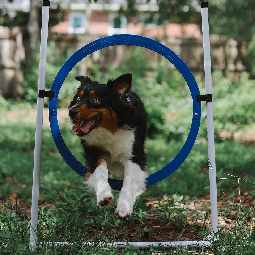 Better Sporting Dogs Upgraded Dog Agility Set – 5 Piece Training Kit with Safety Breakaway Tire Jump, Displacement Bar Jump, Tunnel, Weave Poles & Pause Box