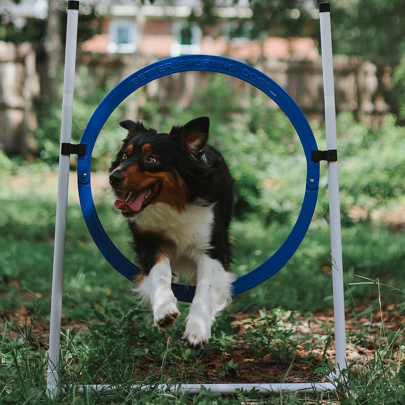 Better Sporting Dogs Upgraded Dog Agility Set – 5 Piece Training Kit with Safety Breakaway Tire Jump, Displacement Bar Jump, Tunnel, Weave Poles & Pause Box