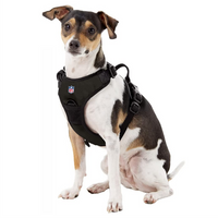 SC Gamecocks Front Clip Harness