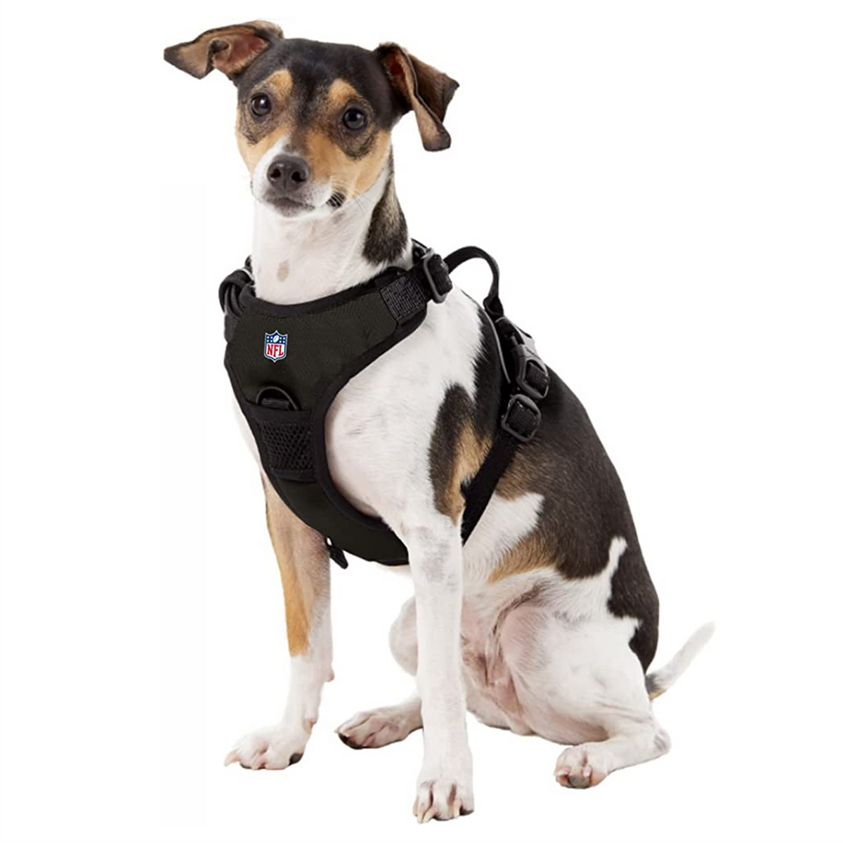 Raiders dog deals harness