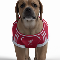 Liverpool FC 25/26 Home Kit Inspired Personalized Tank