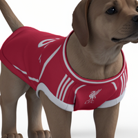 Liverpool FC 25/26 Home Kit Inspired Personalized Tank