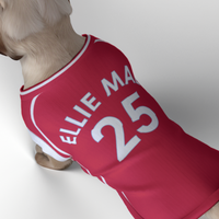 Liverpool FC 25/26 Home Kit Inspired Personalized Tank