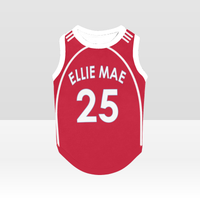 Liverpool FC 25/26 Home Kit Inspired Personalized Tank