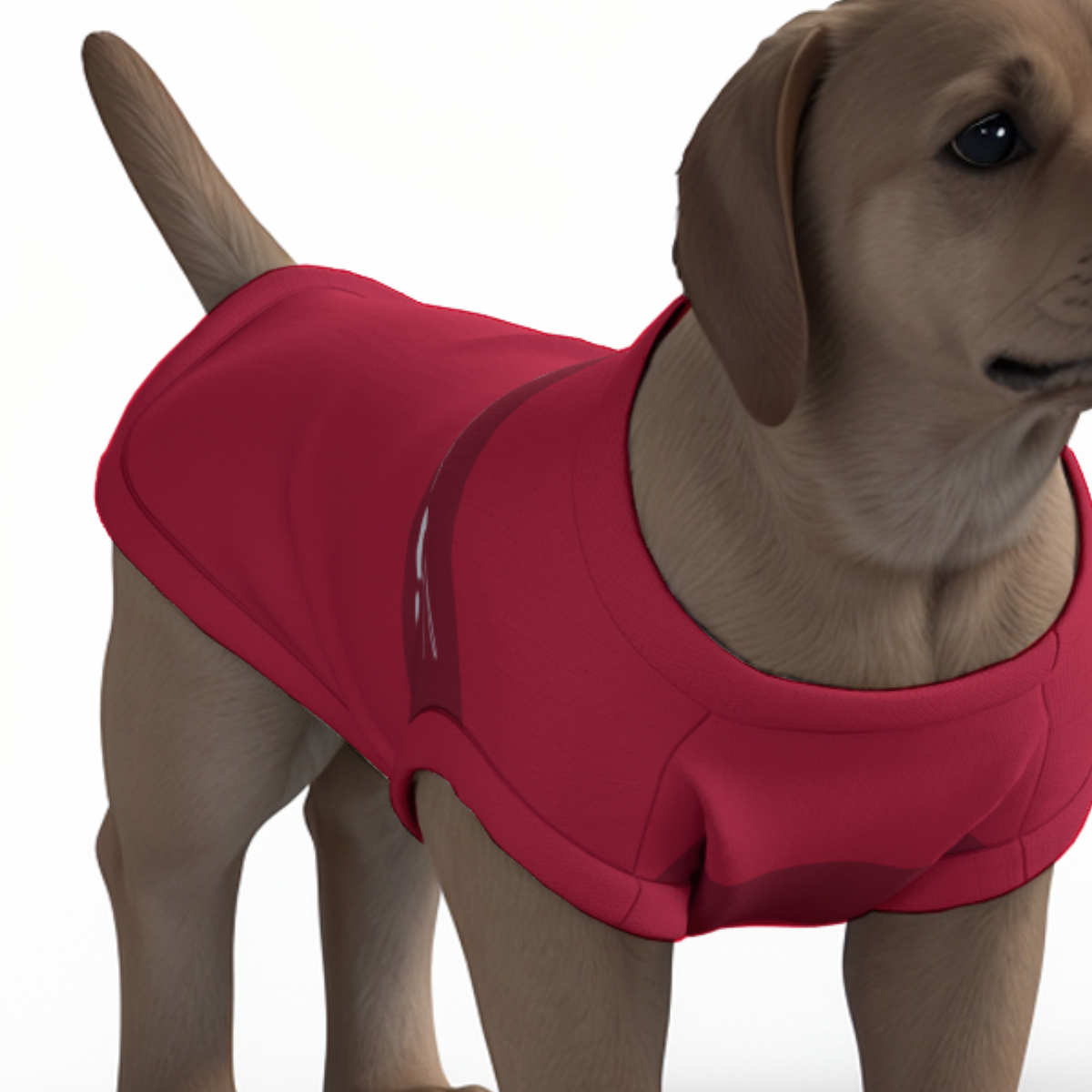 Liverpool FC 25/26 Home Inspired Pet Graphic Tee Shirt (Sizes XS-Small)