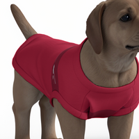 Liverpool FC 25/26 Home Inspired Pet Graphic Tee Shirt (Sizes XS-Small)