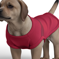 Liverpool FC 25/26 Home Inspired Pet Graphic Tee Shirt (Sizes XS-Small)