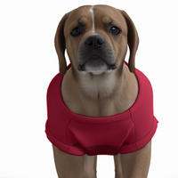 Liverpool FC 25/26 Home Inspired Pet Graphic Tee Shirt (Sizes XS-Small)
