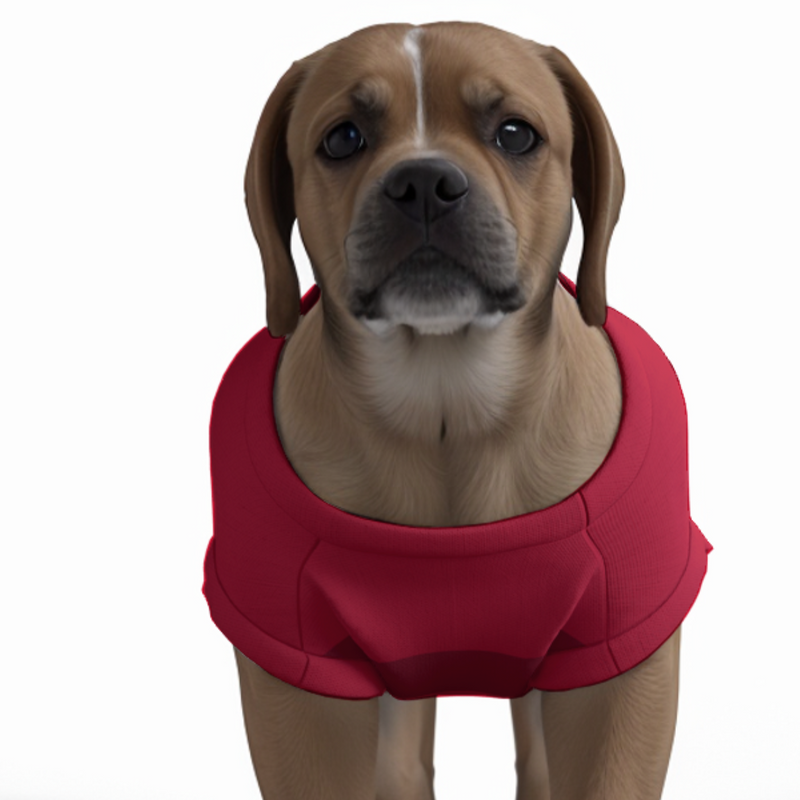 Liverpool FC 25/26 Home Inspired Pet Graphic Tee Shirt (Sizes XS-Small)