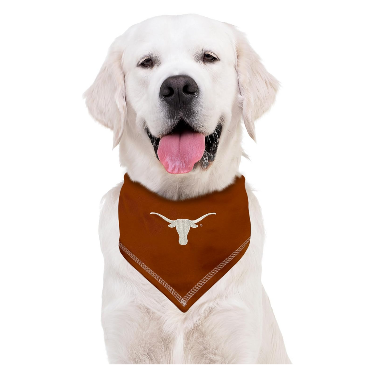 TX Longhorns Tie-On Bandana