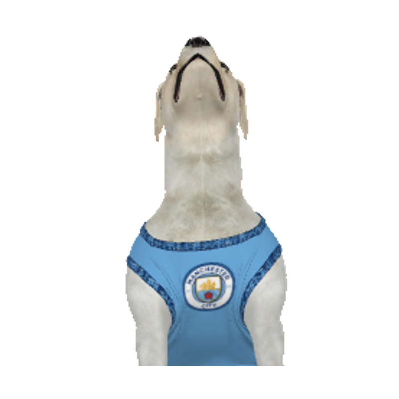 Manchester City FC 24/25 Kit Inspired Personalized Tank