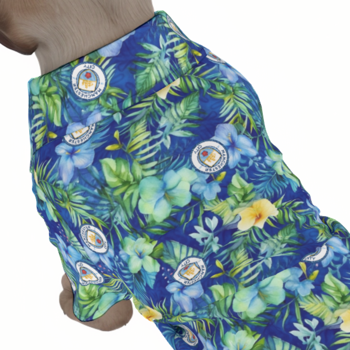 Manchester City FC 25/26 Team-Inspired Pet Hawaiian Shirt