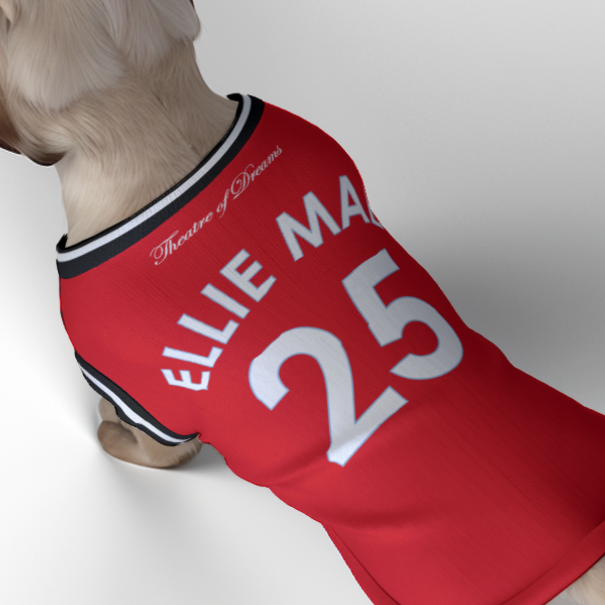 Manchester United FC 25/26 Home Kit Inspired Personalized Tank