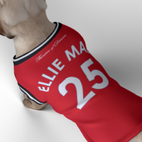 Manchester United FC 25/26 Home Kit Inspired Personalized Tank