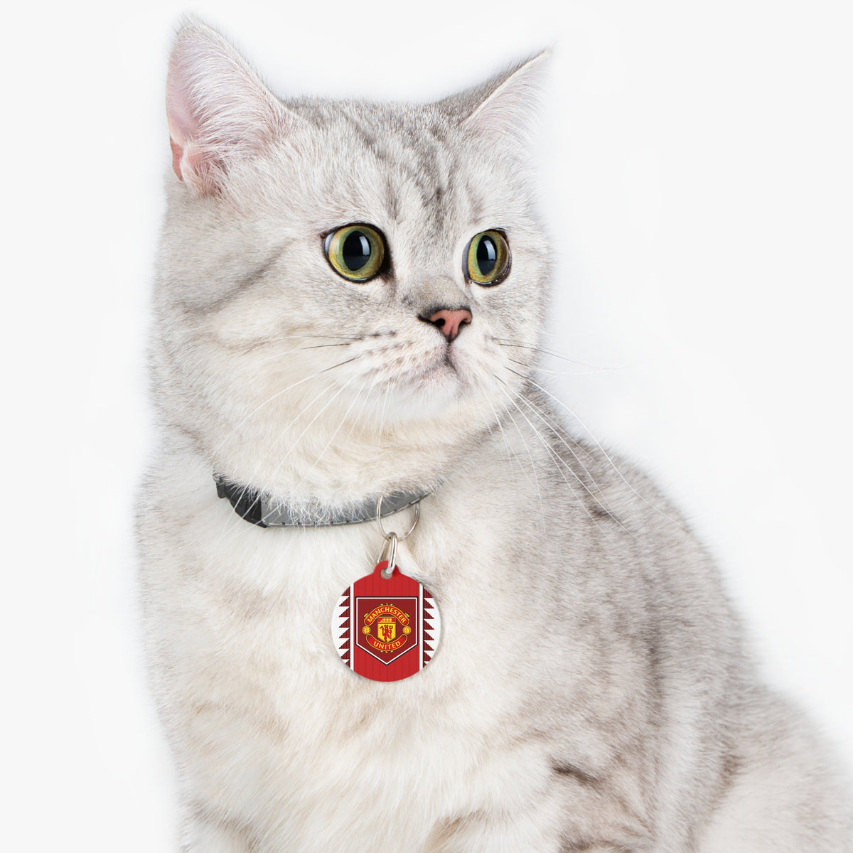 Manchester United FC Handmade Pet Collar Charm - No personalization