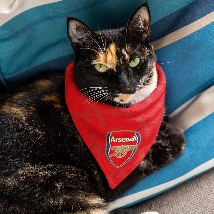 Arsenal FC 25/26 Home Kit Inspired Reversible Bandana