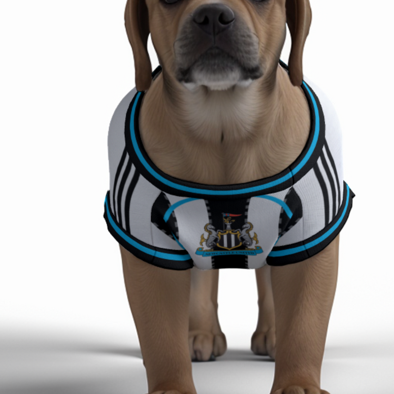 Newcastle United FC 25/26 Home Kit Inspired Personalized Tank