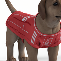 Nottingham Forest FC 25/26 Home Kit Inspired Personalized Tank