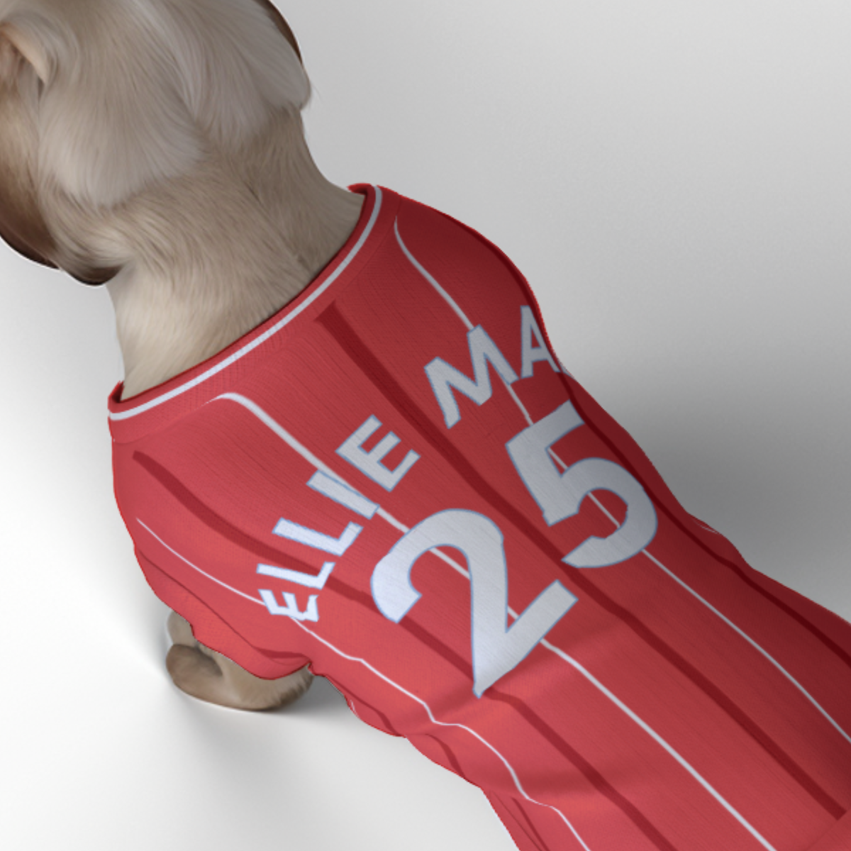 Nottingham Forest FC 25/26 Home Kit Inspired Personalized Tank