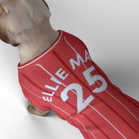 Nottingham Forest FC 25/26 Home Kit Inspired Personalized Tank