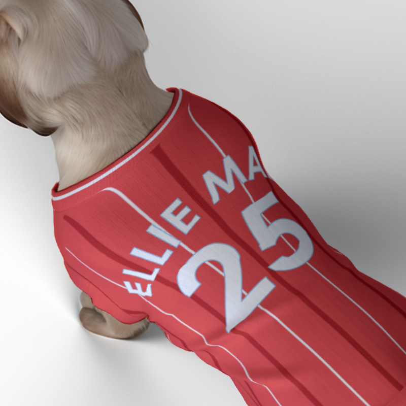 Nottingham Forest FC 25/26 Home Kit Inspired Personalized Tank