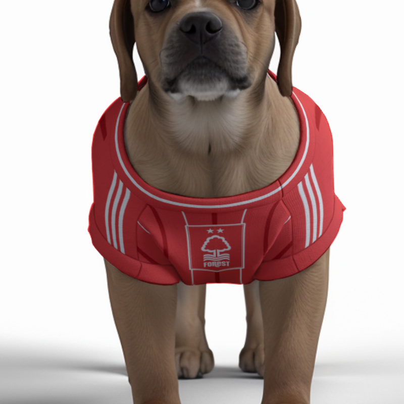 Nottingham Forest FC 25/26 Home Kit Inspired Personalized Tank