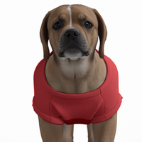 Nottingham Forest FC 25/26 Home Inspired Graphic Pet Tee Shirt (Size M-2x)