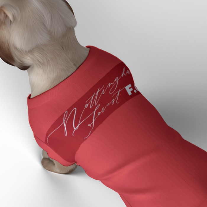 Nottingham Forest FC 25/26 Home Inspired Graphic Pet Tee Shirt (Size M-2x)