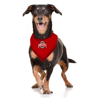 OH State Buckeyes Tie-On Bandana