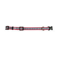 Pendleton Adventure Collar