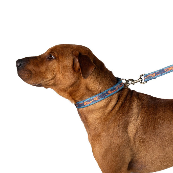 Pendleton Adventure Collar