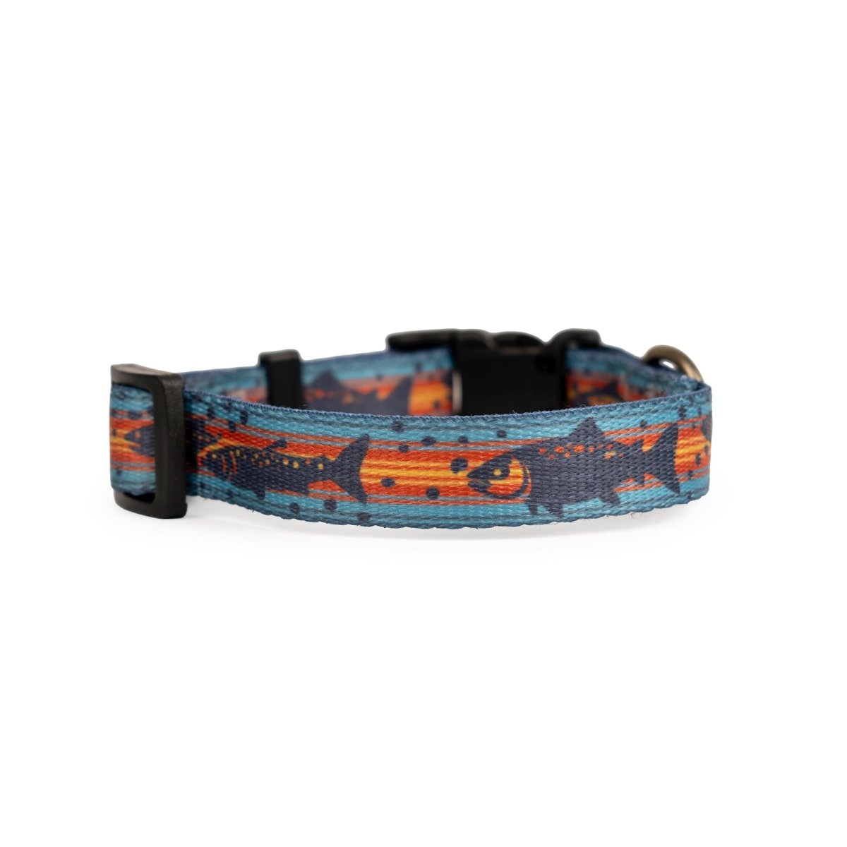 Pendleton Adventure Collar
