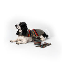 Pendleton Adventure Leash