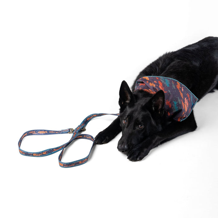 Pendleton Adventure Leash