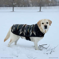 Pendleton Berber Dog Coat