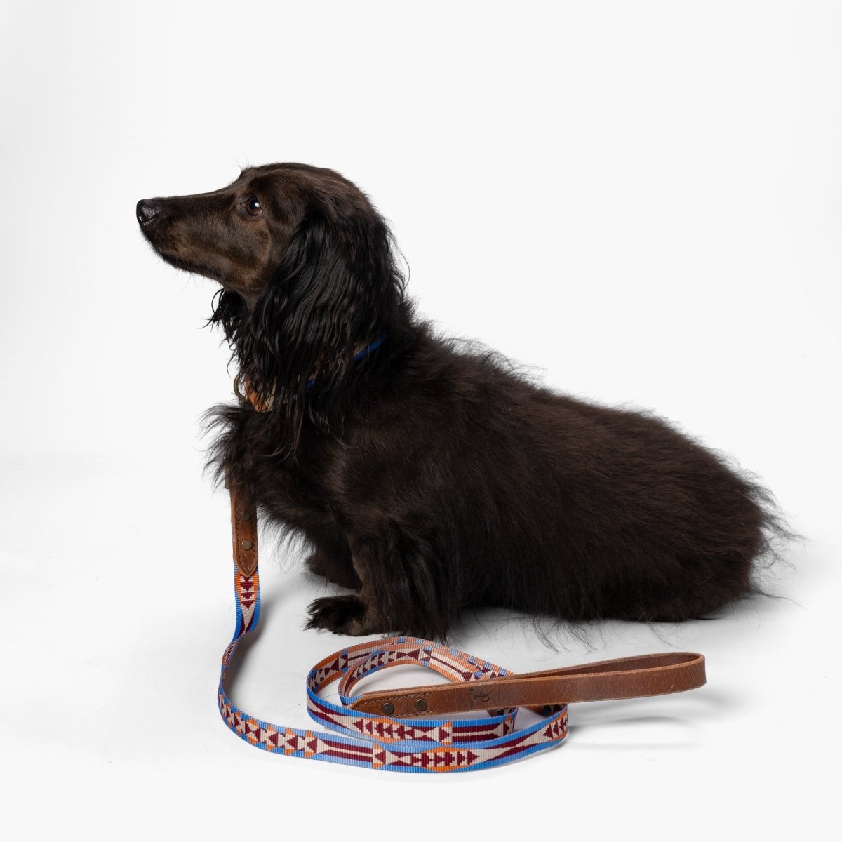 Pendleton Heritage Leash