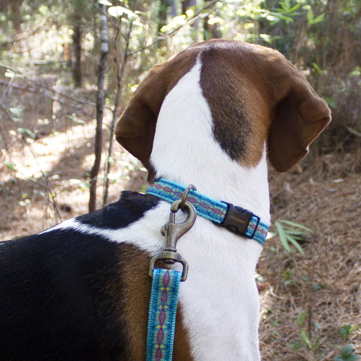 Pendleton Hiker Collar